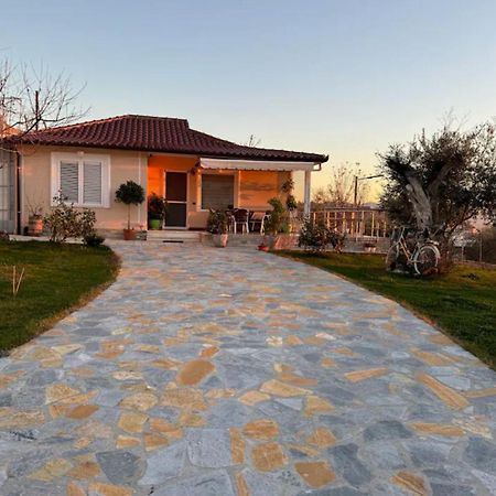 Villa Nikol Tirana Extérieur photo